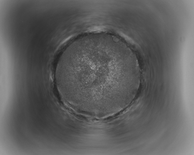 X0000116011206200911251113