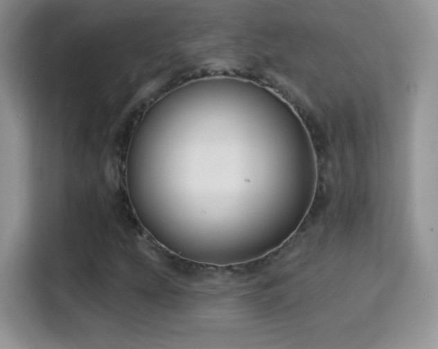X0000116011207200911251113