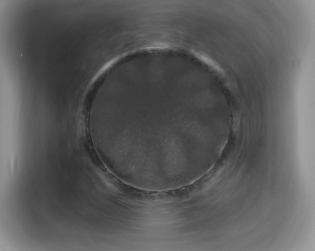 X0000116011208200911251113