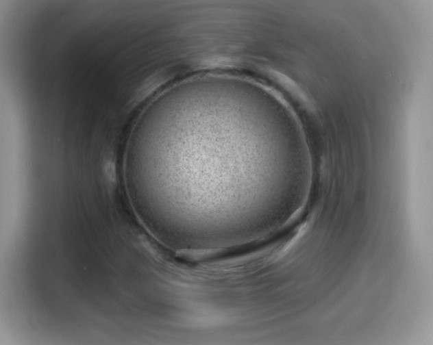 X0000116011209200911251113
