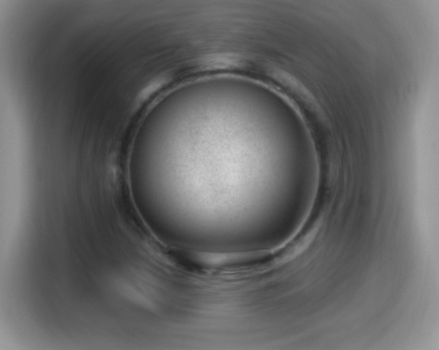 X0000116011210200911251113