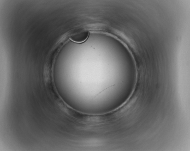 X0000116011211200911251113