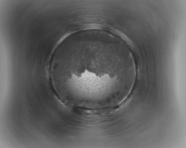 X0000116011212200911251113