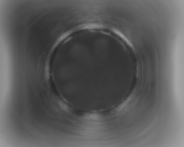 X0000116011213200911251113
