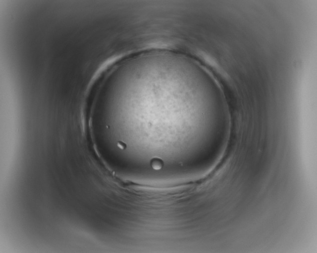 X0000116011214200911251113