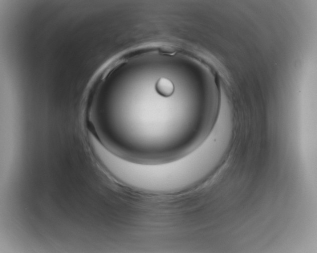 X0000116011216200911251114