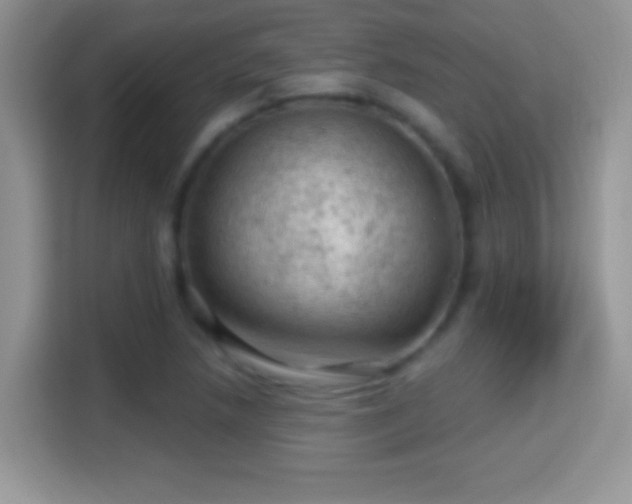 X0000116011218200911251114