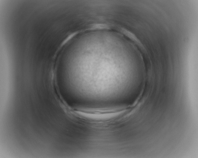 X0000116011220200911251114