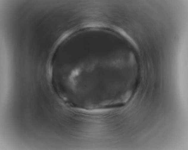 X0000116011221200911251114