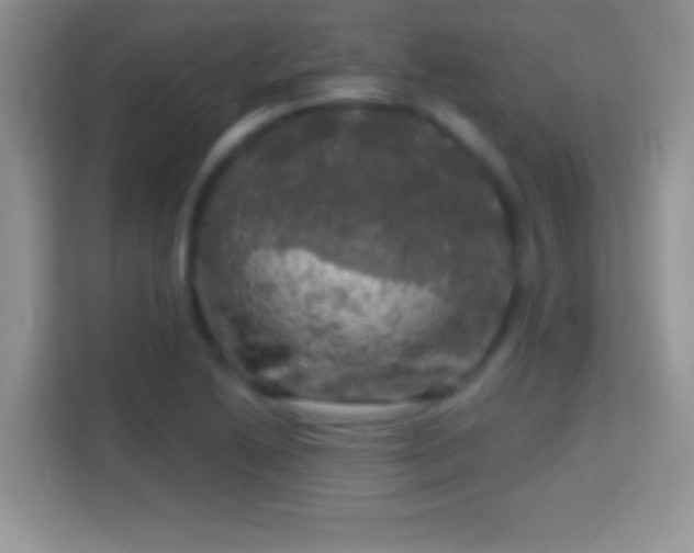 X0000116011222200911251114
