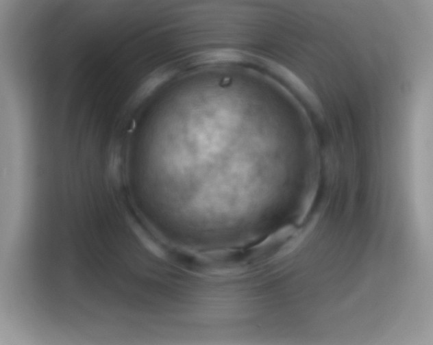 X0000116011225200911251114