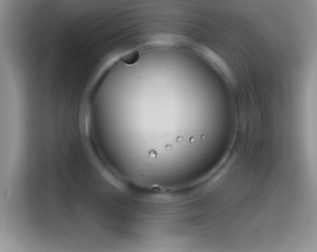 X0000116011227200911251114