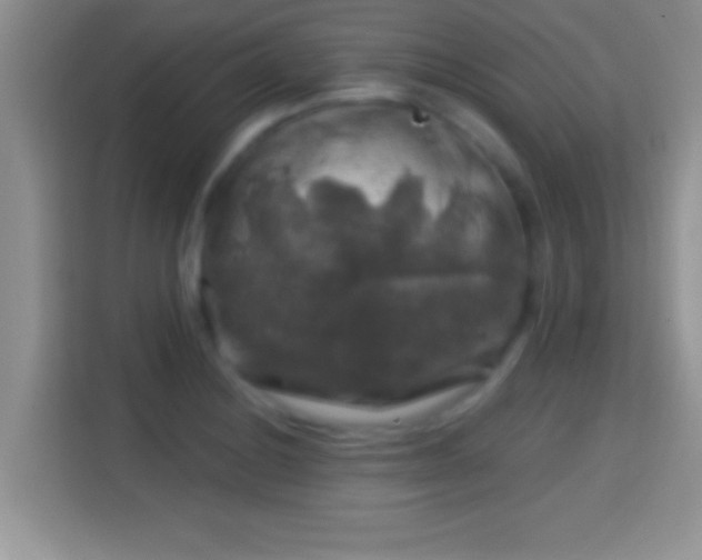 X0000116011228200911251114