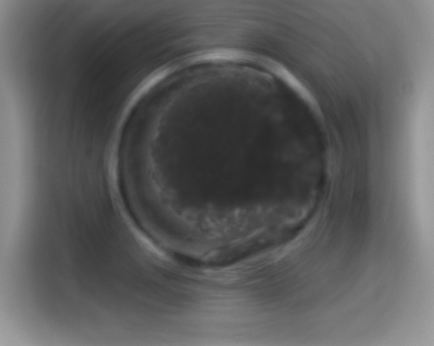 X0000116011229200911251114