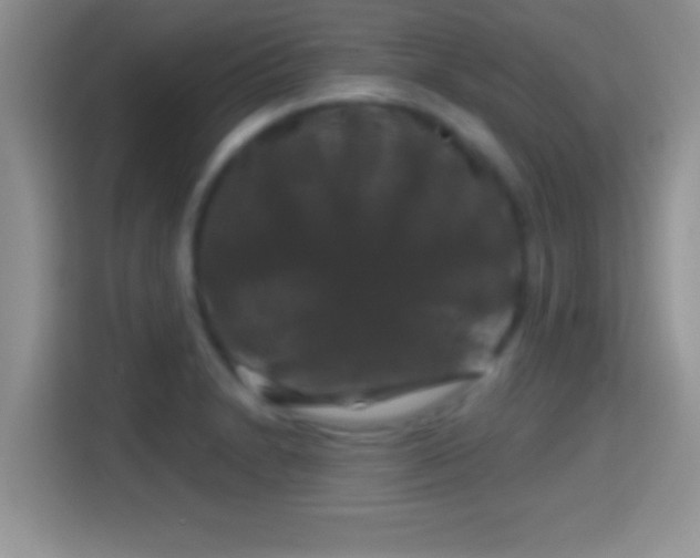 X0000116011230200911251114