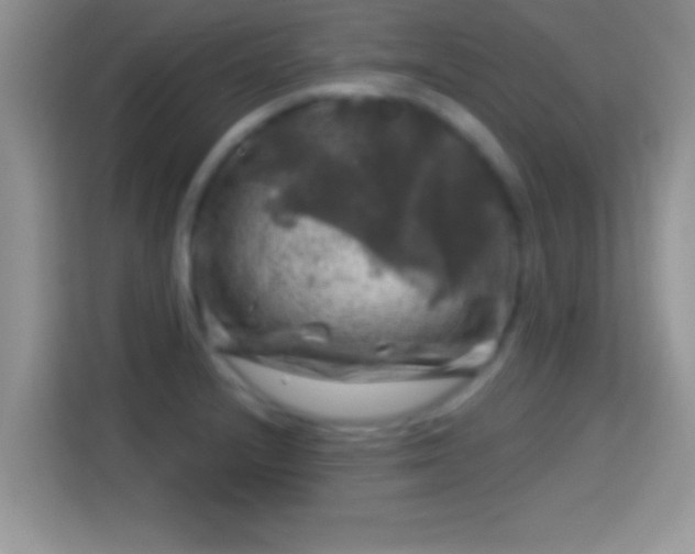 X0000116011232200911251114
