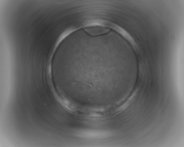 X0000116011234200911251114