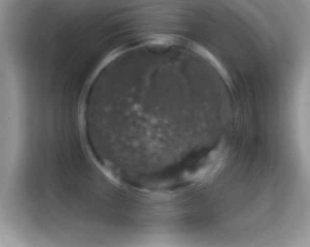 X0000116011235200911251114