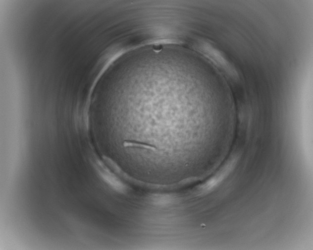 X0000116011236200911251114