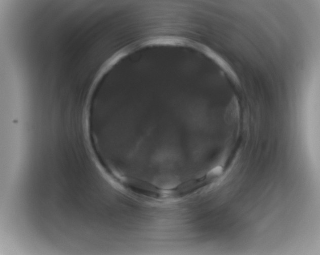 X0000116011237200911251114