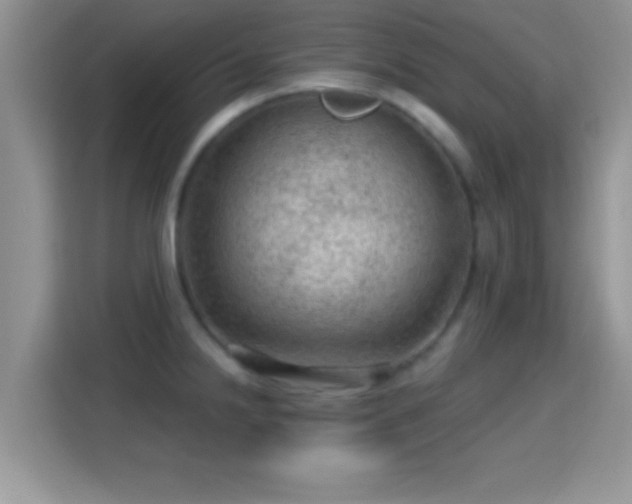 X0000116011238200911251114