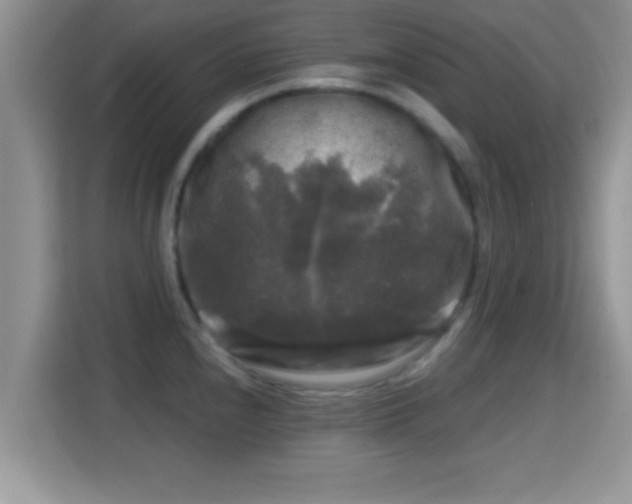 X0000116011240200911251114