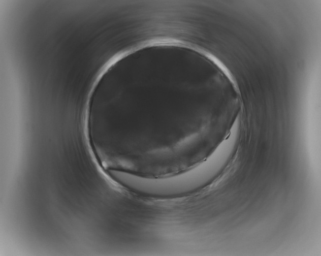 X0000116011245200911251114