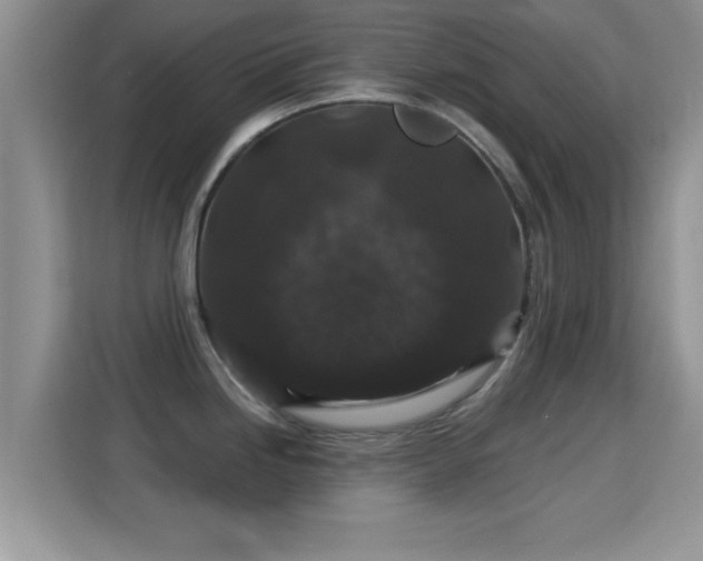 X0000116011246200911251114