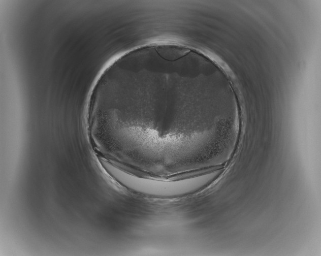 X0000116011248200911251114