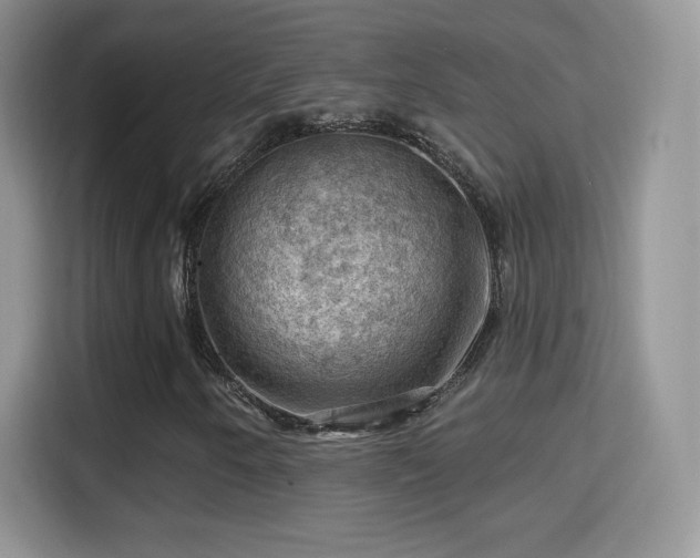 X0000116011250200911251113