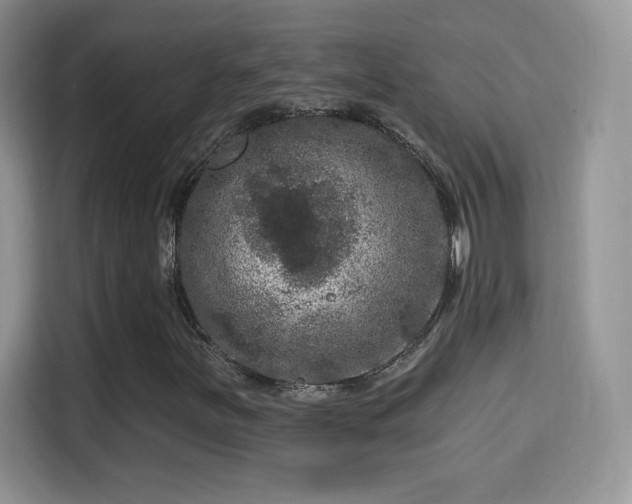 X0000116011251200911251113