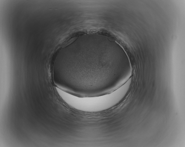 X0000116011252200911251113