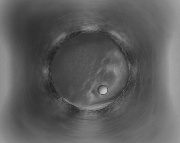 X0000116011254200911251113