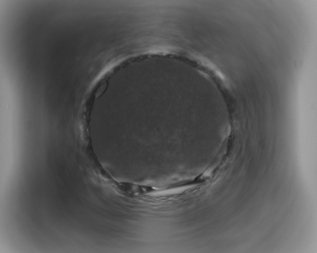 X0000116011256200911251113