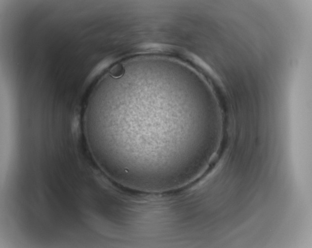 X0000116011259200911251113