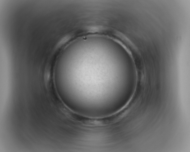 X0000116011261200911251113
