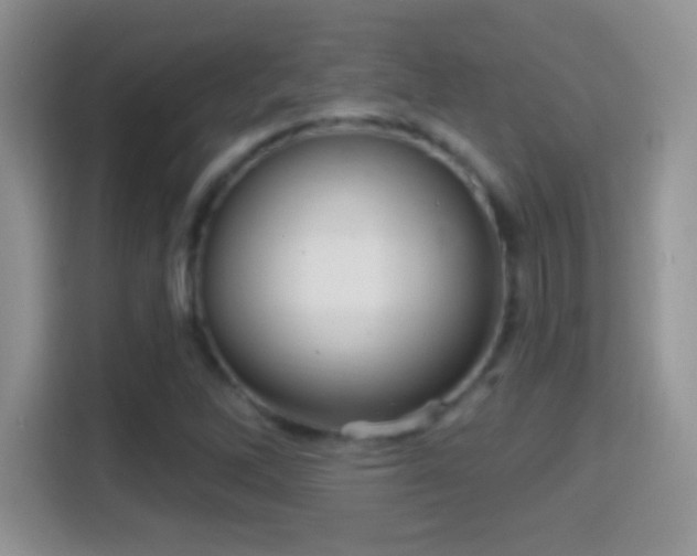 X0000116011262200911251113
