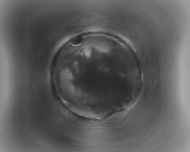 X0000116011263200911251113
