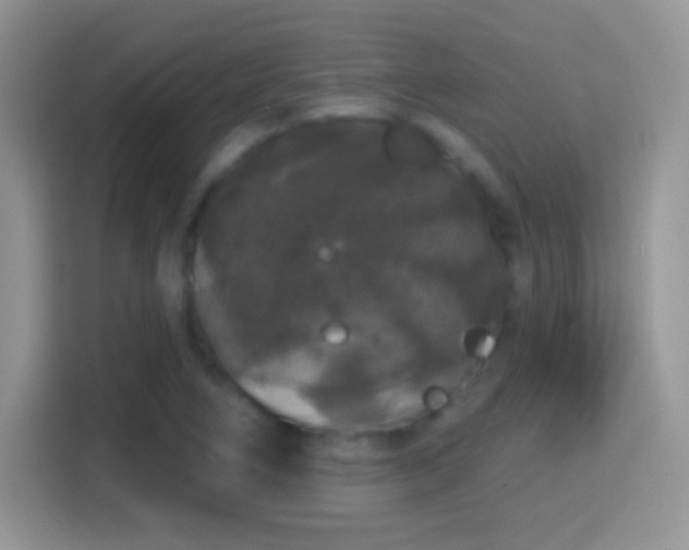 X0000116011266200911251113