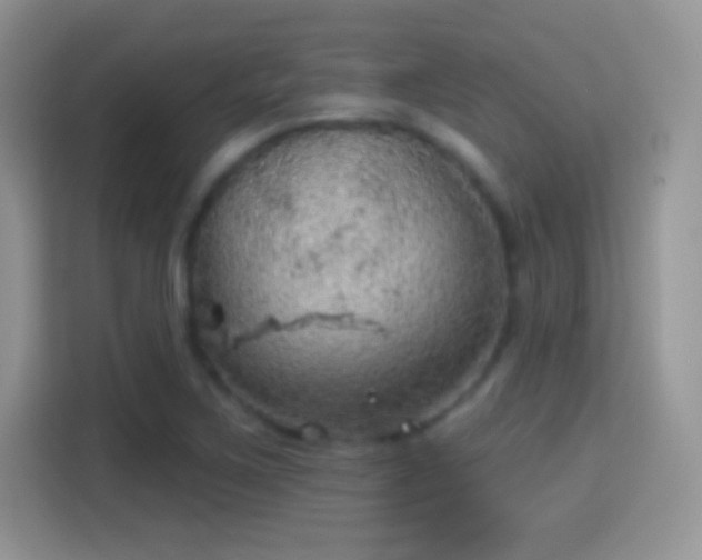 X0000116011267200911251113