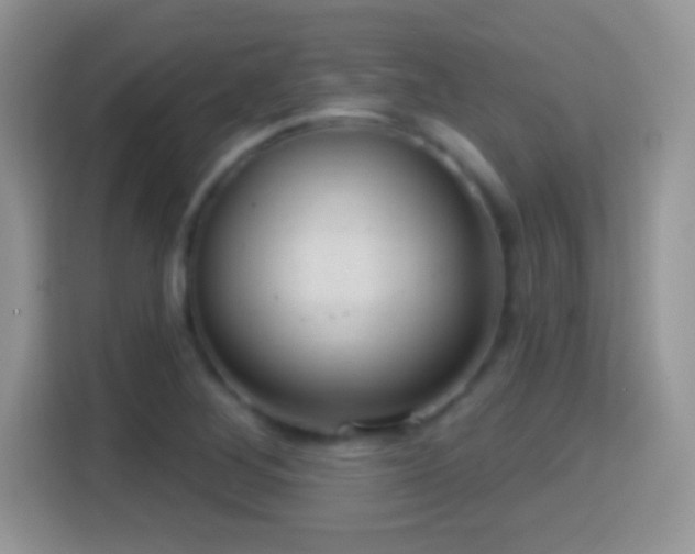 X0000116011268200911251113