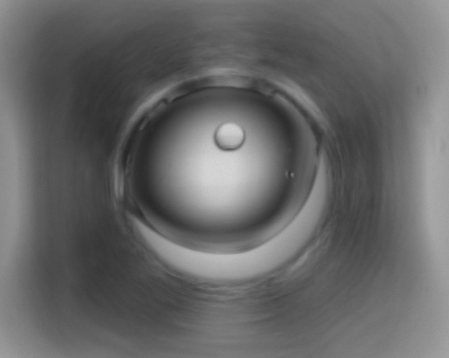 X0000116011269200911251113