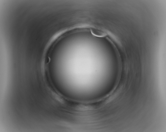 X0000116011270200911251113