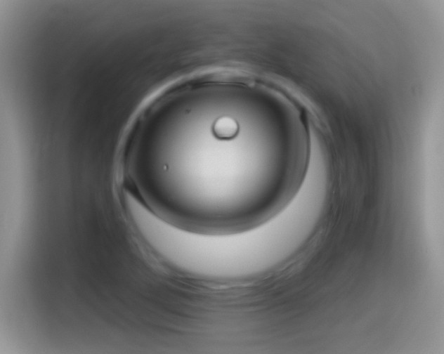 X0000116011272200911251113