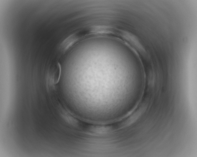 X0000116011273200911251113