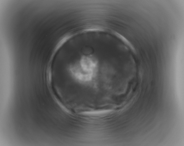 X0000116011274200911251113