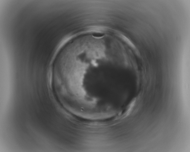 X0000116011275200911251113