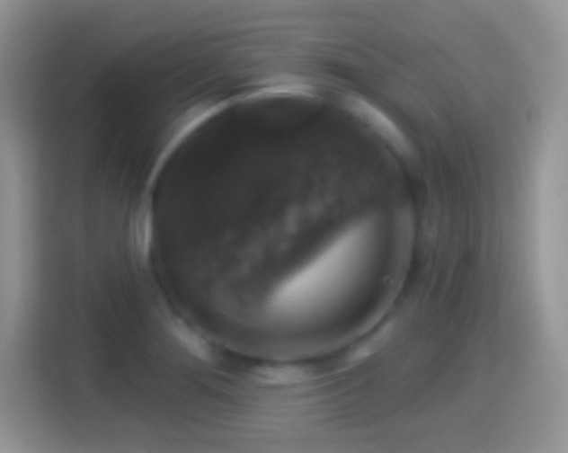 X0000116011276200911251113