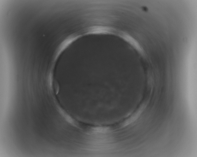 X0000116011277200911251113