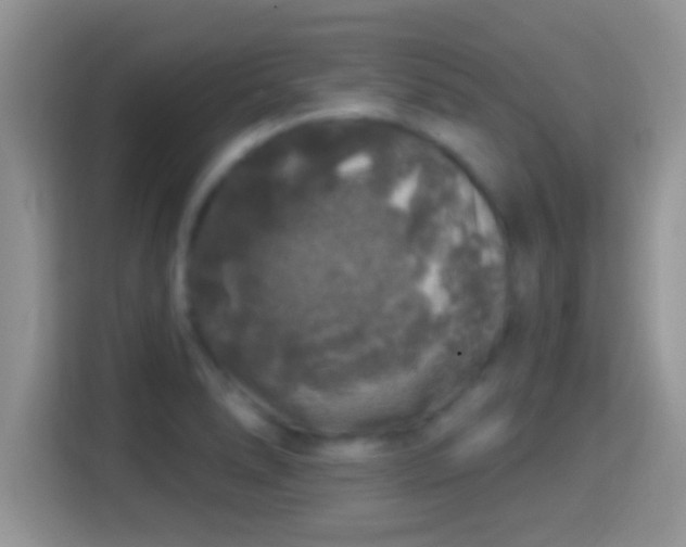 X0000116011278200911251113